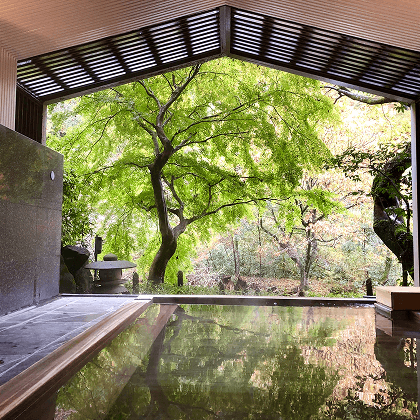 Inside Japan