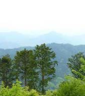 Mount Takao