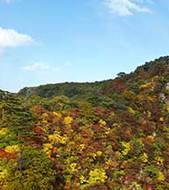 Naruko Onsen