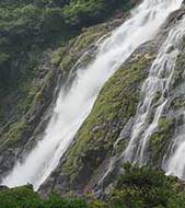 Yakushima