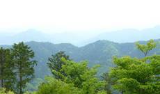 Mount Takao Image