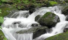 Lake Towada Image