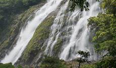 Yakushima Image