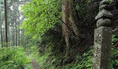 Mount Koya Image