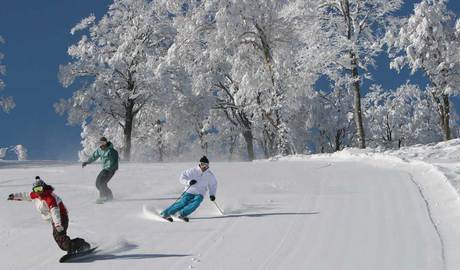 Nozawa Onsen