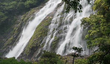 Yakushima