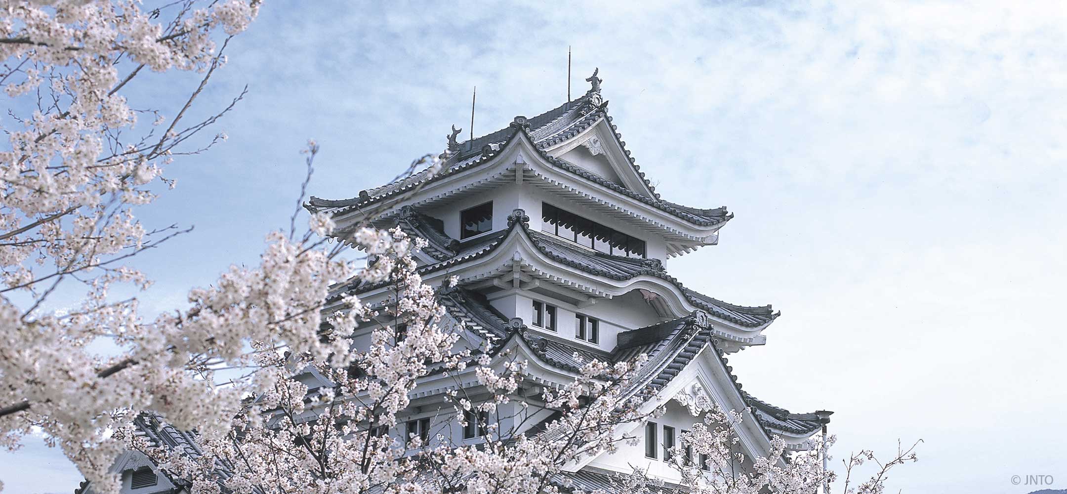 Tokushima, Shikoku Inside Japan Tours