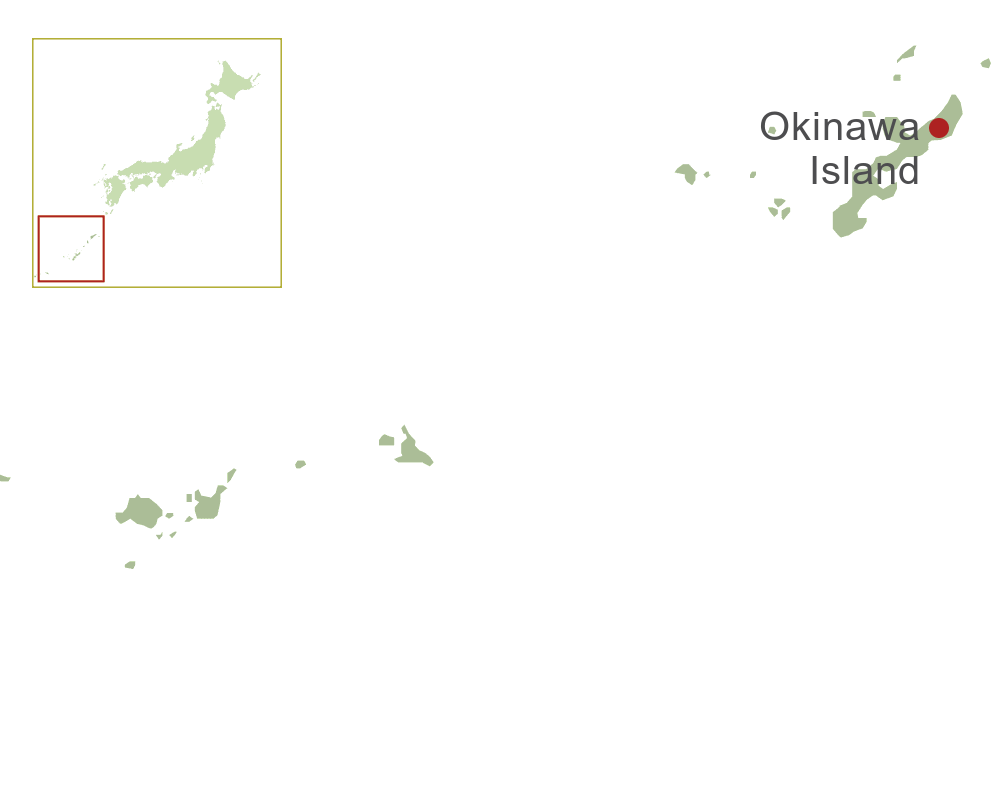 Okinawa Island Map