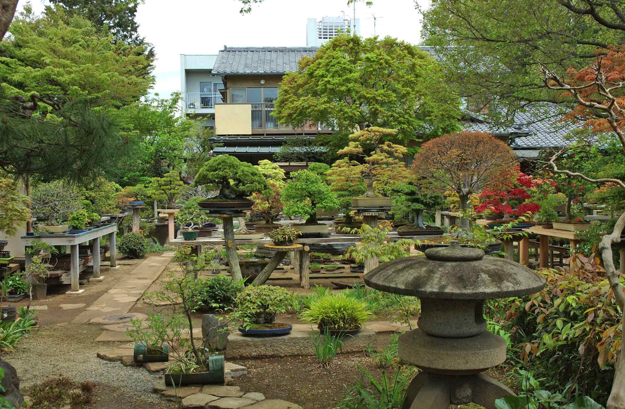 Gardens Inside Japan Tours