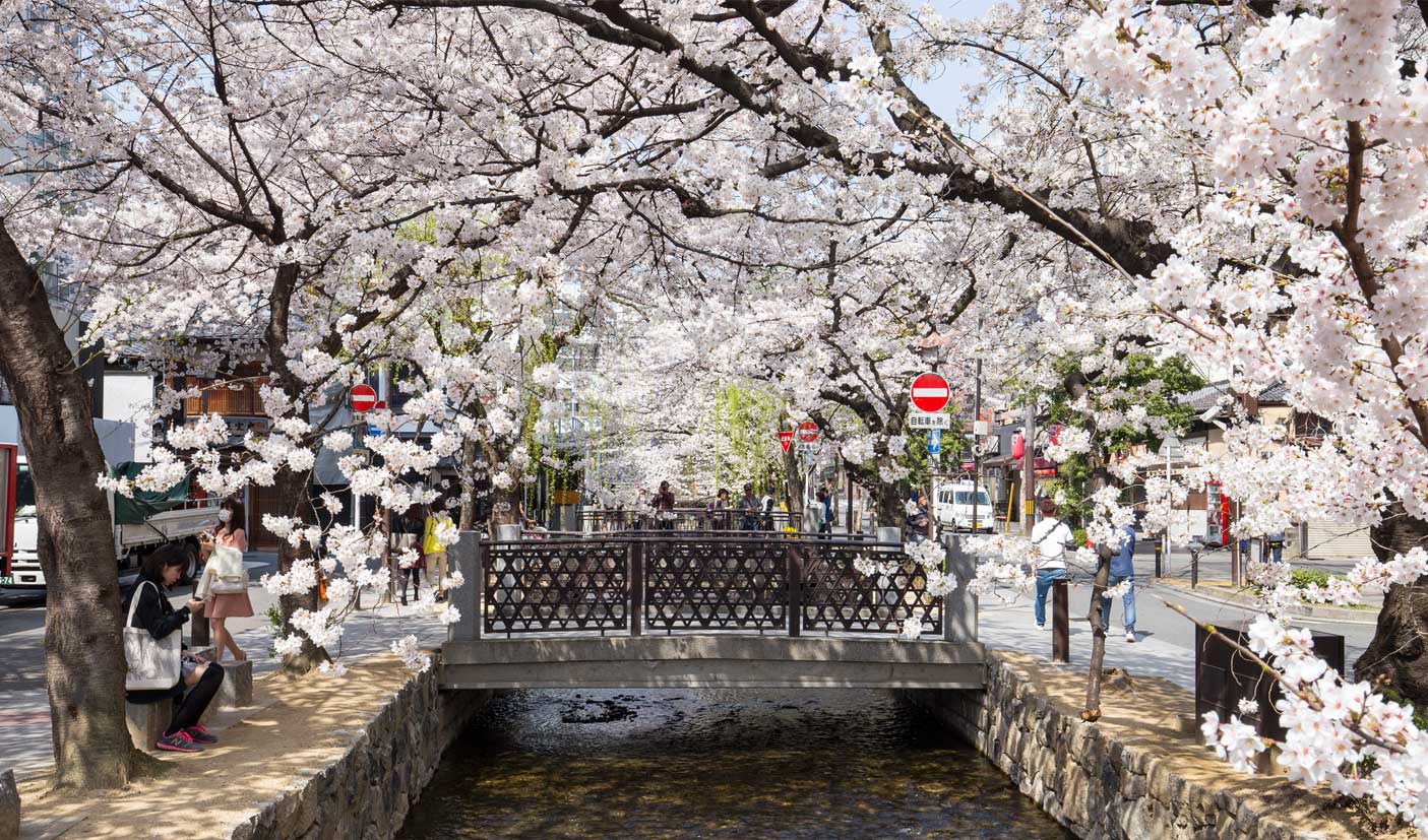 Japan Enchantment - Japan Small Group Tour  InsideJapan Tours