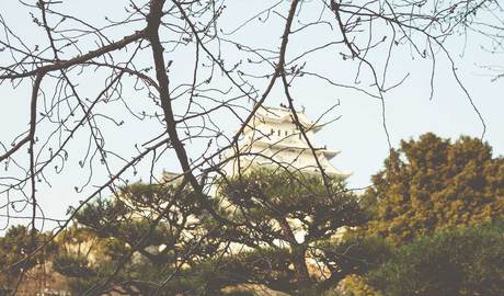 Himeji Gallery