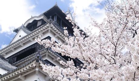 Kumamoto Gallery