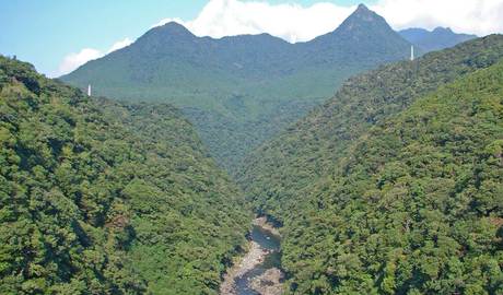 Yakushima Gallery