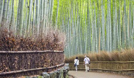 Kyoto Gallery