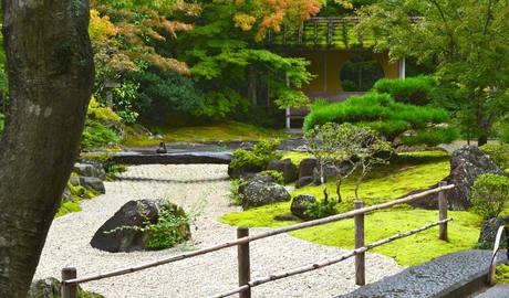 Matsushima Gallery