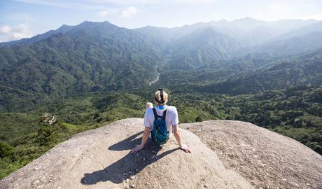 Yakushima Gallery