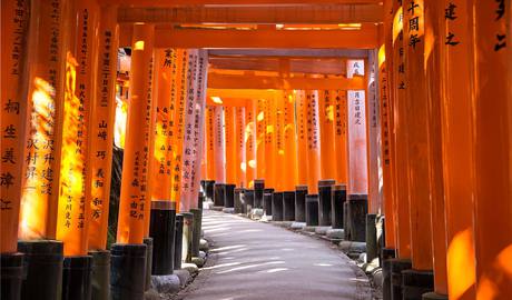 Kyoto Gallery