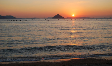 Naoshima Gallery