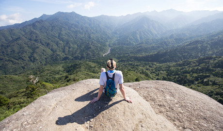 Yakushima Gallery