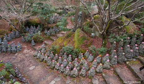 Miyajima Gallery