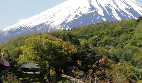 Izu Peninsula Gallery