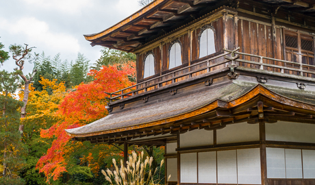 Kyoto Gallery