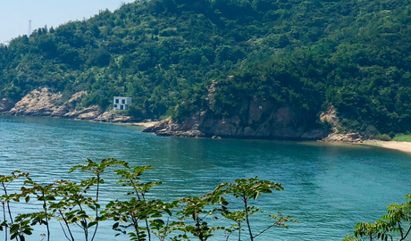 Naoshima Gallery