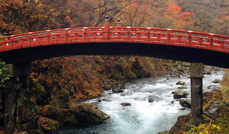 Nikko Gallery