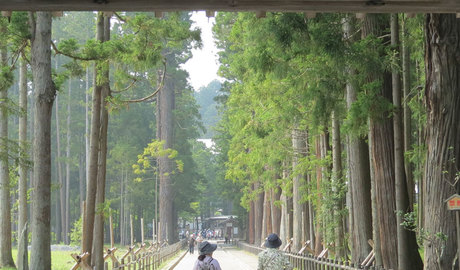 Matsushima Gallery