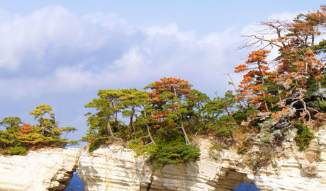 Matsushima Gallery