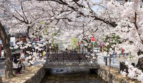 Kyoto Gallery