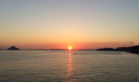 Naoshima Gallery
