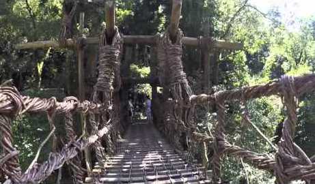 Video Gallery