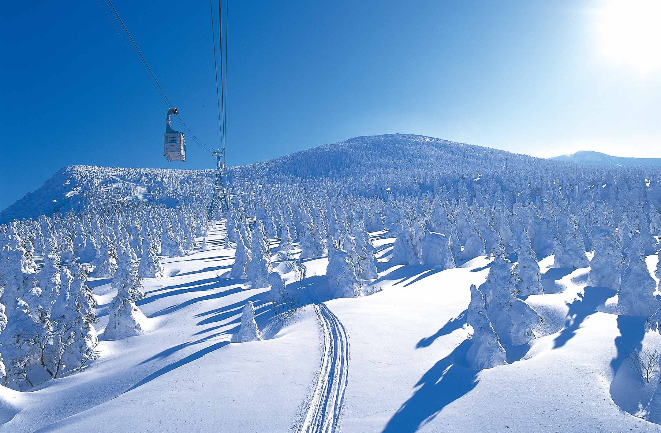 Skiing & Winter Sports Inside Japan Tours