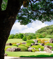 Adachi Museum of Art  Image