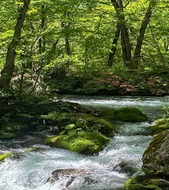 Japan's Undiscovered North