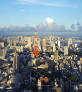 Tokyo Nights (Group Tour Add-On)