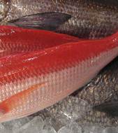Tsukiji fish market tasting tour Image