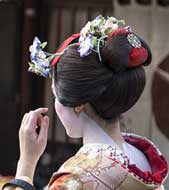 Kyoto City & Country