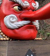 Curious Teens - Japan Family Adventure