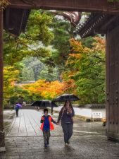Juniors in Japan