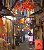 Golden Gai night tour Image