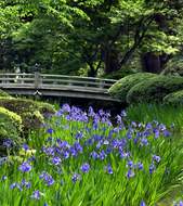 Kenrokuen  Image