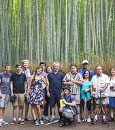 Bamboo groves  Image