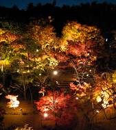 Kyoto lantern illuminations
