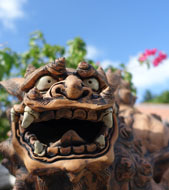 Okinawa Island Hopping