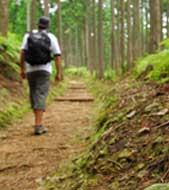 Kumano Kodo Five-Night Module (Advanced Hiking)