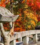 Insider Highlights of Japan 