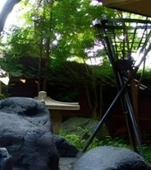 Ryokan Stay with Hot Springs & Dinner