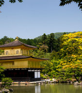 Sightseeing in Kyoto in a wheelchair accessible vehicle Image